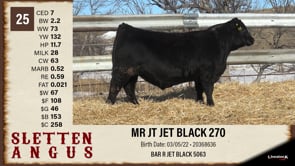 Lot #25 - MR JT JET BLACK 270