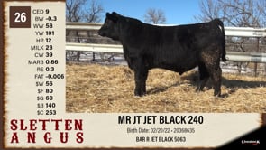 Lot #26 - MR JT JET BLACK 240