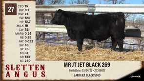 Lot #27 - MR JT JET BLACK 269