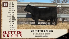 Lot #28 - MR JT JET BLACK 276