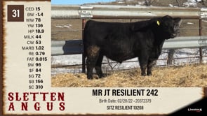 Lot #31 - MR JT RESILIENT 242