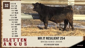 Lot #32 - MR JT RESILIENT 254