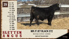 Lot #29 - MR JT JET BLACK 272