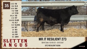 Lot #35 - MR JT RESILIENT 273