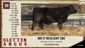 Lot #36 - MR JT RESILIENT 280