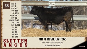 Lot #38 - MR JT RESILIENT 265