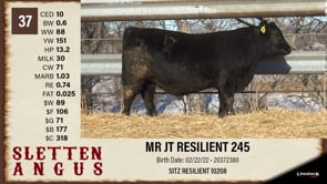 Lot #37 - MR JT RESILIENT 245