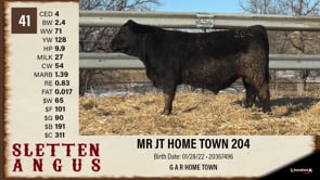 Lot #41 - MR JT HOME TOWN