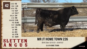 Lot #42 - MR JT HOME TOWN 226