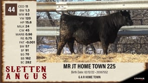 Lot #44 - MR JT HOME TOWN 225