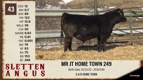 Lot #43 - MR JT HOME TOWN 249