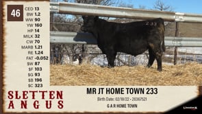 Lot #46 - MR JT HOME TOWN 233