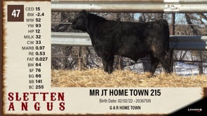 Lot #47 - MR JT HOME TOWN 215