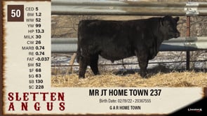Lot #50 - MR JT HOME TOWN 237