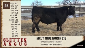 Lot #53 - MR JT TRUE NORTH 218