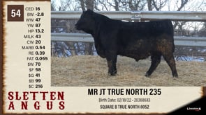 Lot #54 - MR JT TRUE NORTH 235