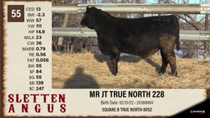 Lot #55 - MR JT TRUE NORTH 228