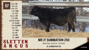 Lot #57 - MR JT SUMMATION 250