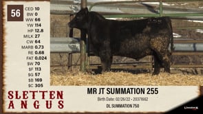 Lot #56 - MR JT SUMMATION 255