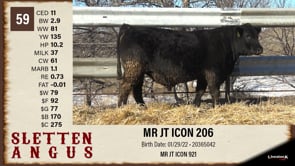 Lot #59 - MR JT ICON 206