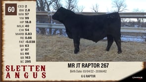 Lot #60 - MR JT RAPTOR 267