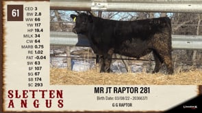 Lot #61 - MR JT RAPTOR 281