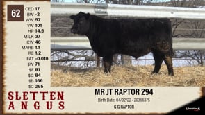 Lot #62 - MR JT RAPTOR 294