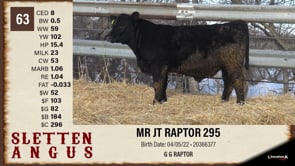 Lot #63 - MR JT RAPTOR 295
