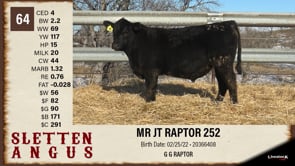 Lot #64 - MR JT RAPTOR 252