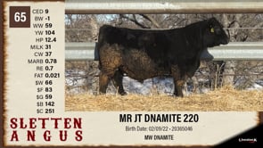 Lot #65 - MR JT DNAMITE 220