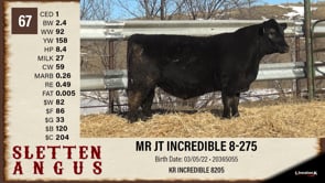 Lot #67 - MR JT INCREDIBLE 8-275