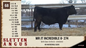 Lot #68 - MR JT INCREDIBLE 8-274