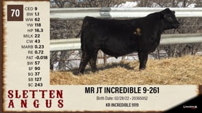 Lot #70 - MR JT INCREDIBLE 9-261