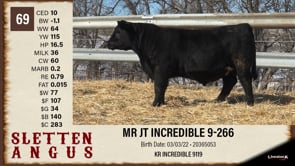 Lot #69 - MR JT INCREDIBLE 9-266