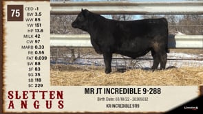 Lot #75 - MR JT INCREDIBLE 9-288