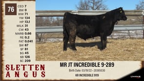 Lot #76 - MR JT INCREDIBLE 9-289