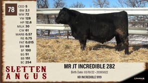 Lot #78 - MR JT INCREDIBLE 282