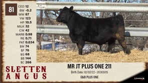 Lot #81 - MR JT PLUS ONE 211