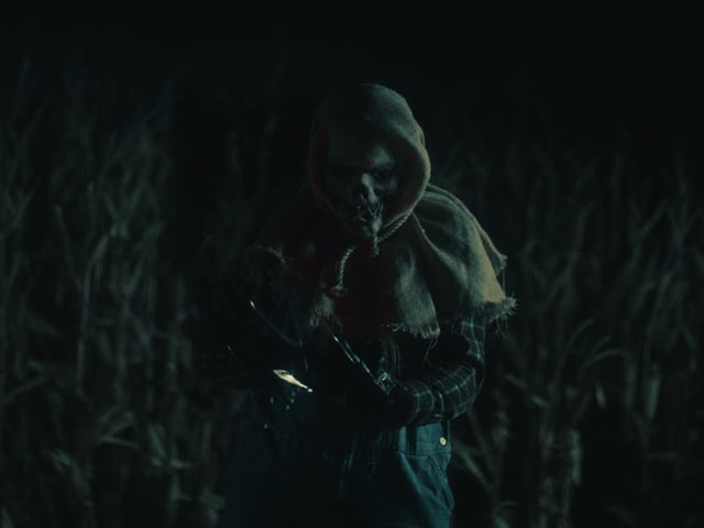 We Don't Judge, We Drive