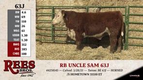 Lot #63J - RB UNCLE SAM 63J