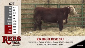 Lot #67J - RB HIGH RISE 67J
