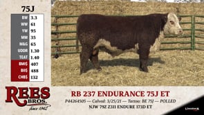 Lot #75J - RB 237 ENDURANCE 75J ET