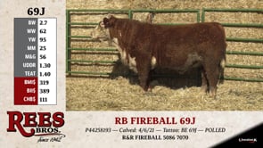 Lot #69J - RB FIREBALL 69J