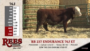 Lot #76J - RB 237 ENDURANCE 76J ET