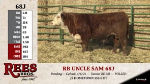Lot #68J - RB UNCLE SAM 68J
