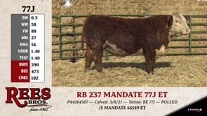 Lot #77J - RB 237 MANDATE 77J ET