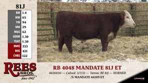 Lot #81J - RB 4048 MANDATE 81J ET
