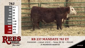 Lot #78J - RB 237 MANDATE 78J ET