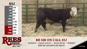 Lot #85J - RB SIR ON CALL 85J