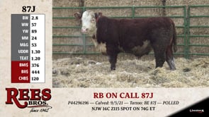 Lot #87J - RB ON CALL 87J